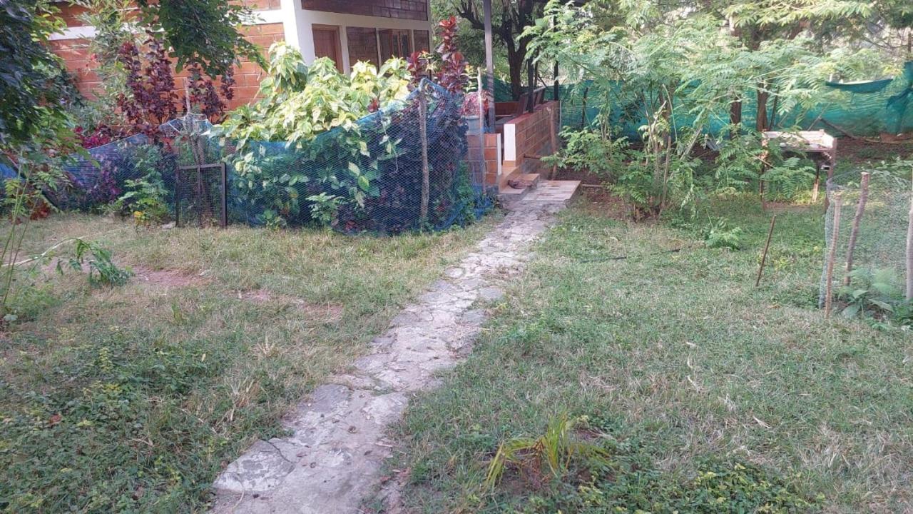 Green Hills Farm And Guest House Masinagudi Ngoại thất bức ảnh